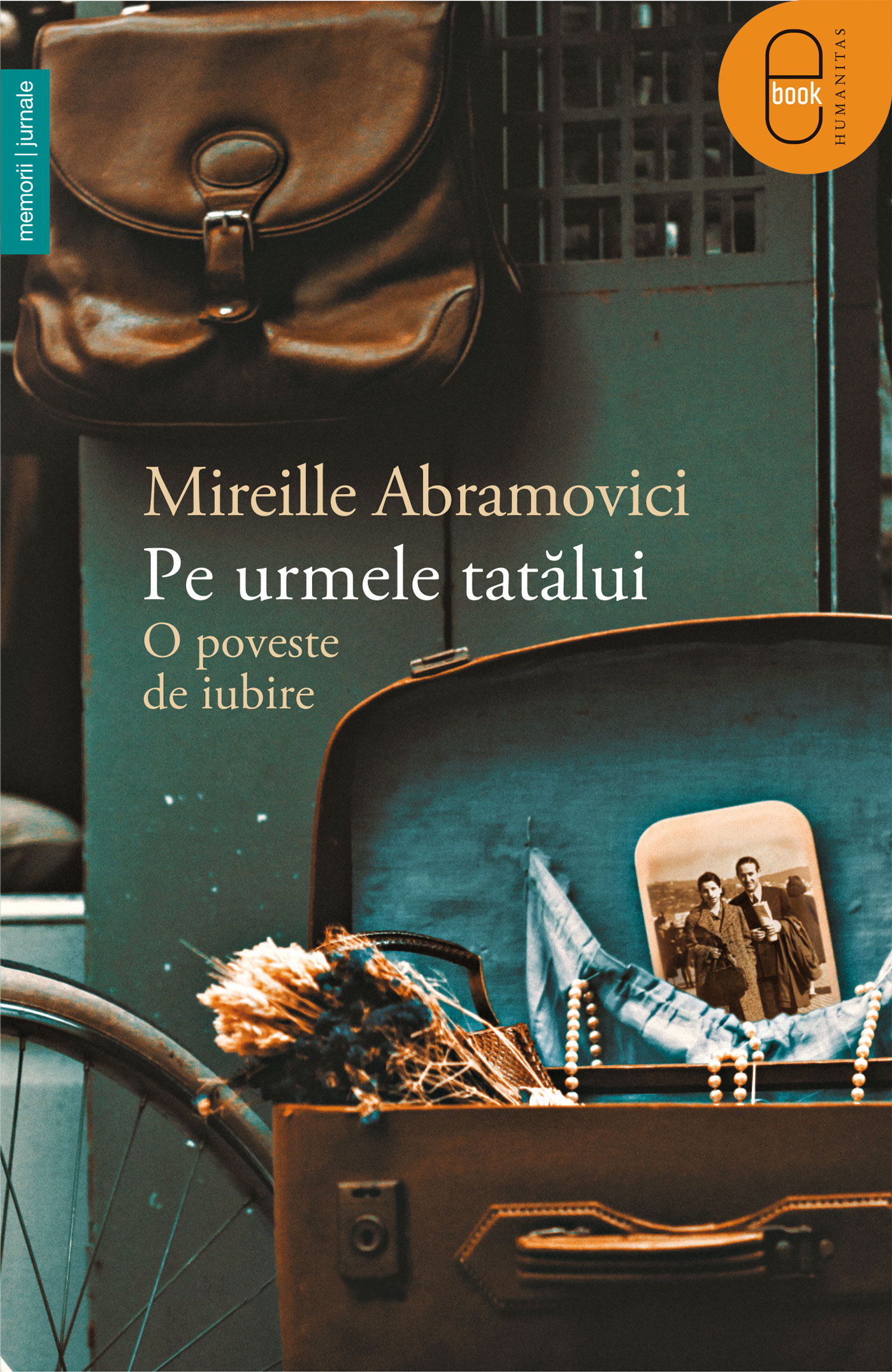 Pe urmele tatalui (epub)