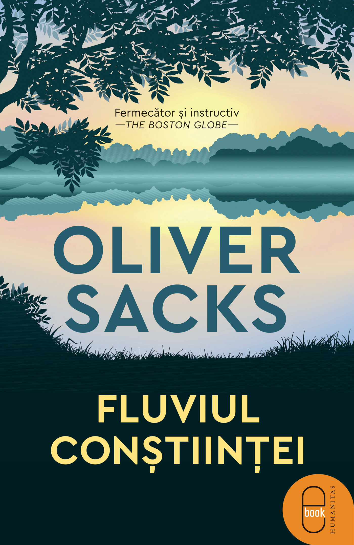 Fluviul conștiinței (epub)