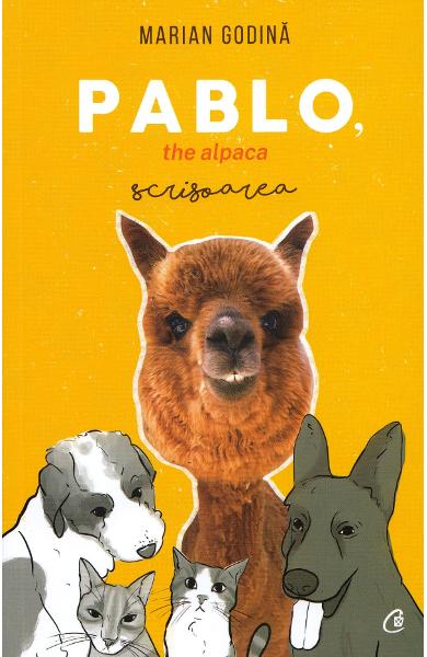 Pablo, the alpaca. Scrisoarea