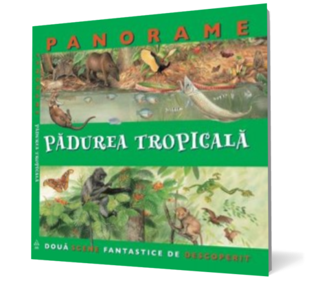 Pădurea tropicală