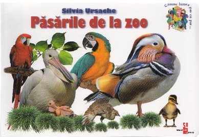 Pasarile de la zoo