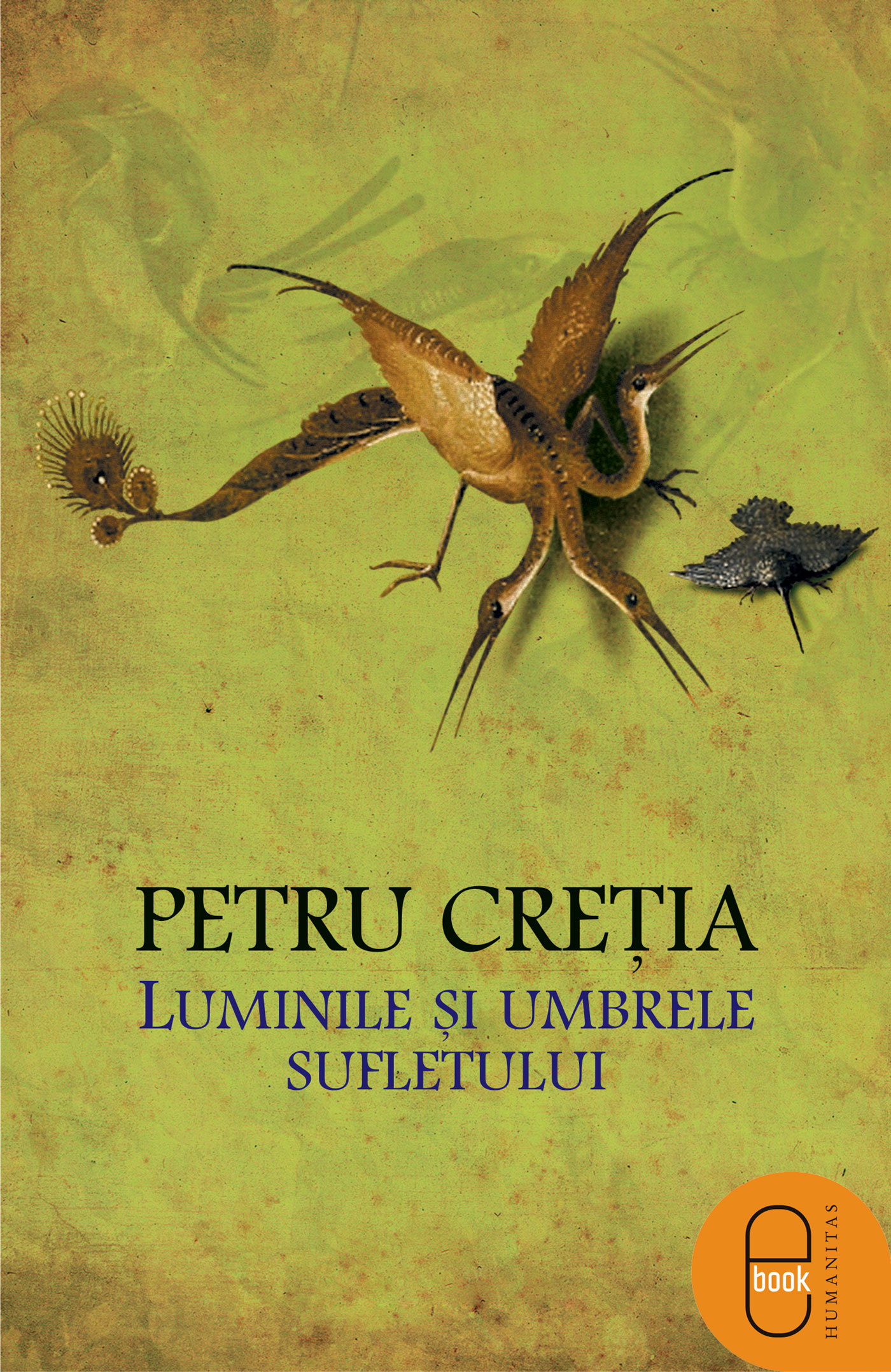 Luminile si umbrele sufletului (epub)