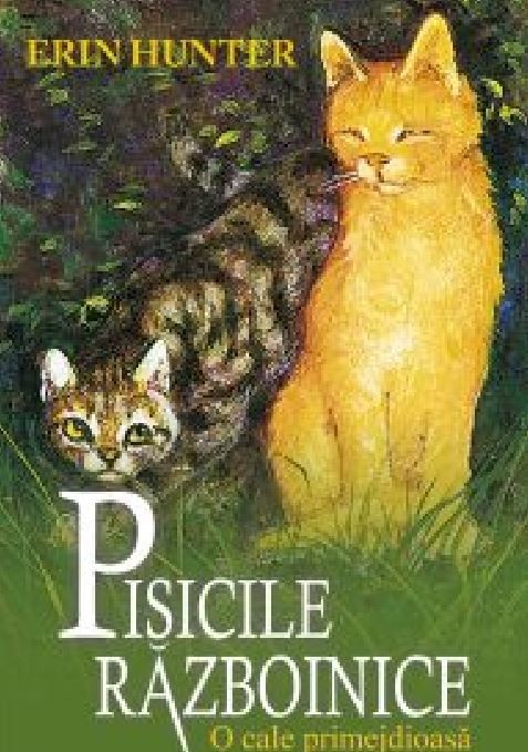 Pisicile razboinice (vol. 5): O cale primejdioasa