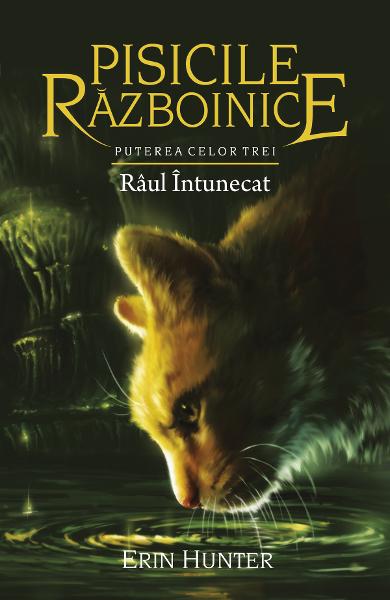 Pisicile razboinice (vol. 14): Puterea celor trei. Raul intunecat