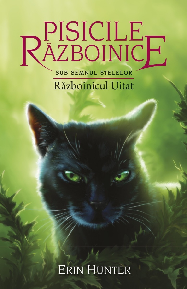 Pisicile razboinice (vol. 23): Sub semnul stelelor. Razboinicul uitat