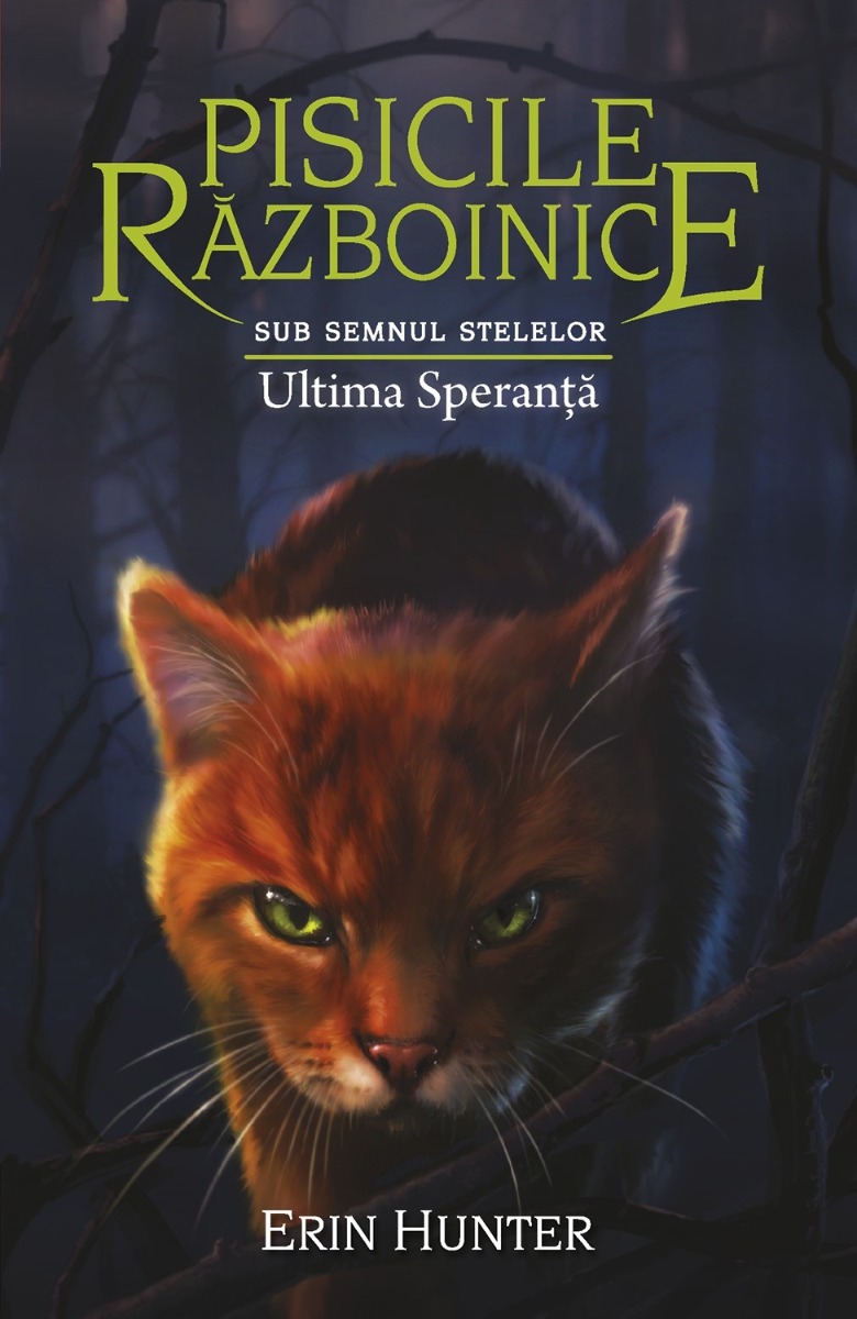 Pisicile războinice (vol. 24): Sub semnul stelelor. Ultima speranță