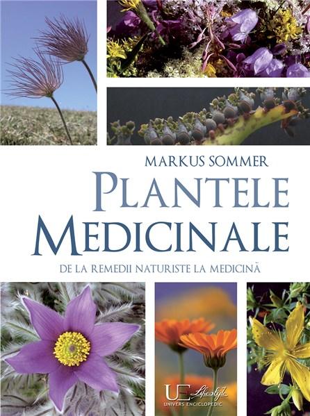 Plante medicinale De la remedii naturiste la medicina