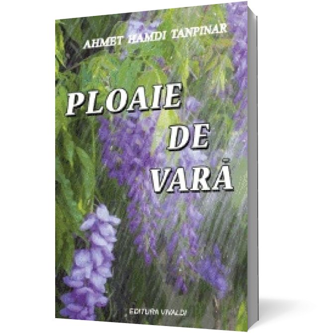 Ploaie de vara