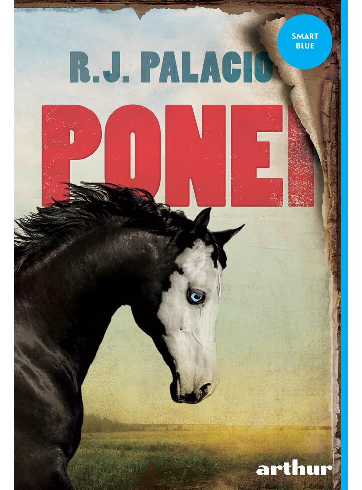 Ponei