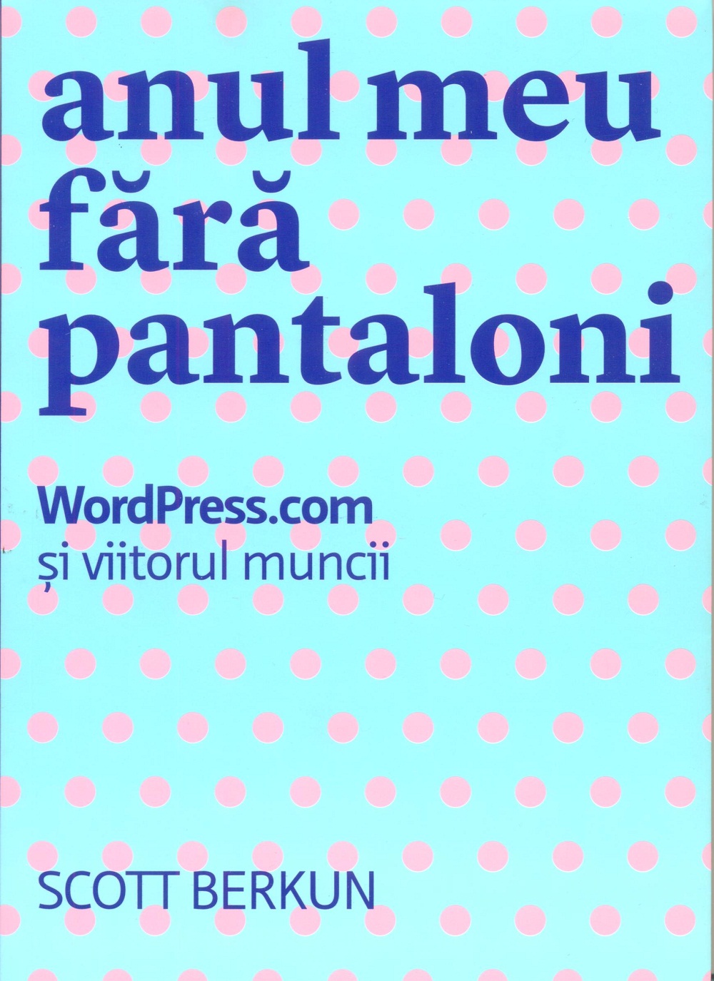 Anul meu fara pantaloni. WordPress.com si viitorul muncii