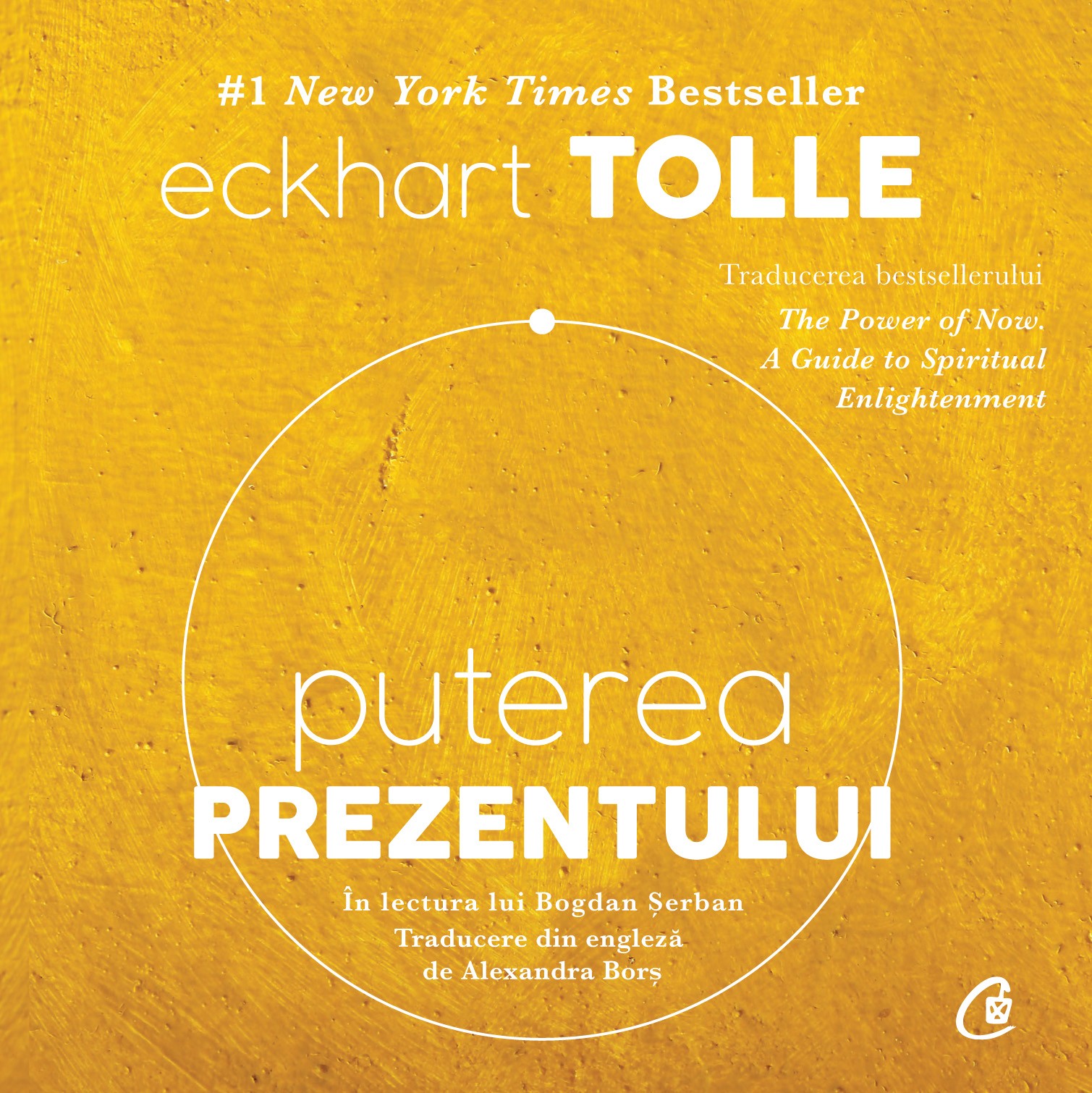 Puterea prezentului (audiobook)