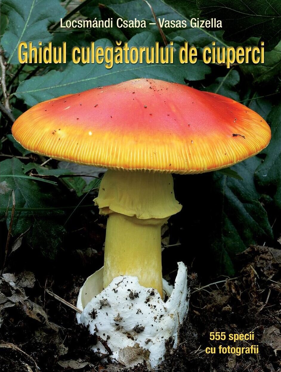 Ghidul culegătorului de ciuperci