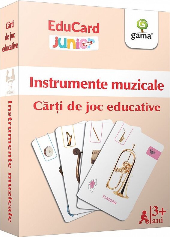 Instrumente muzicale - Carti de joc educative