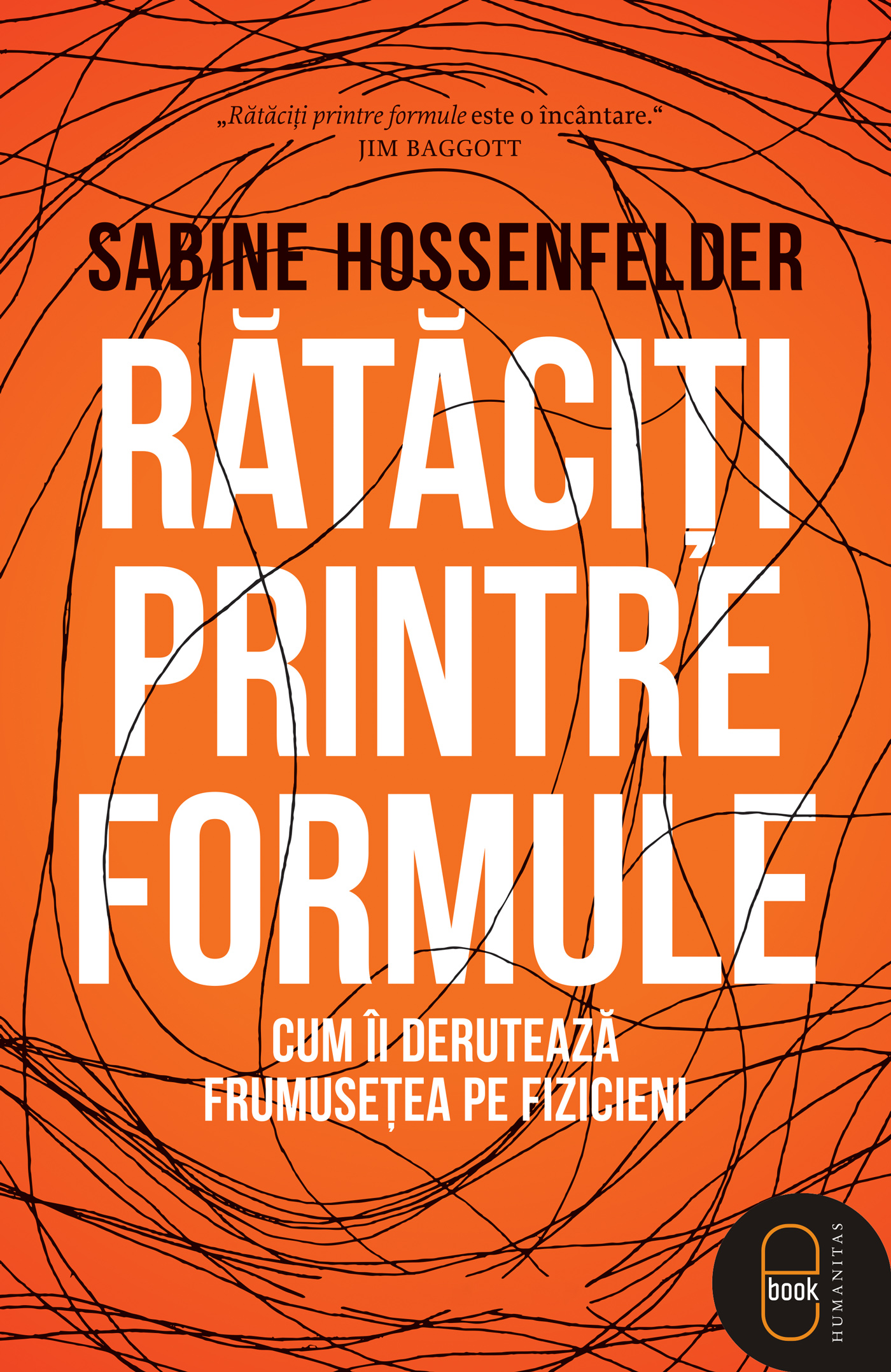 Rătăciți printre formule. Cum îi derutează frumusețea pe fizicieni (epub)