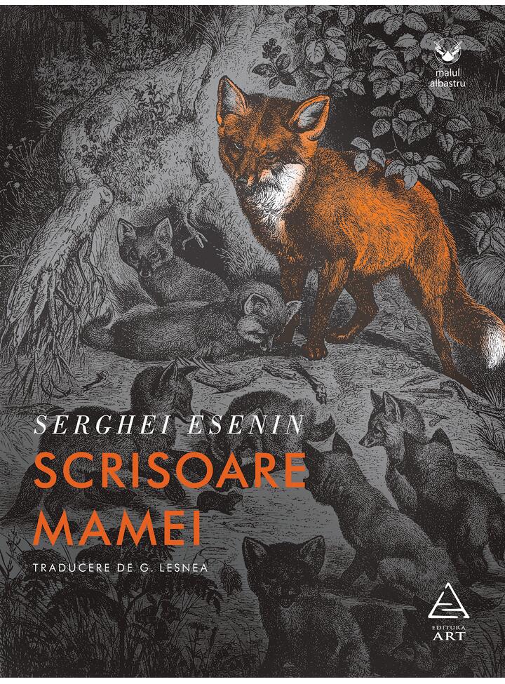 Scrisoare mamei