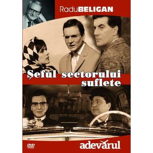 Seful sectorului suflete