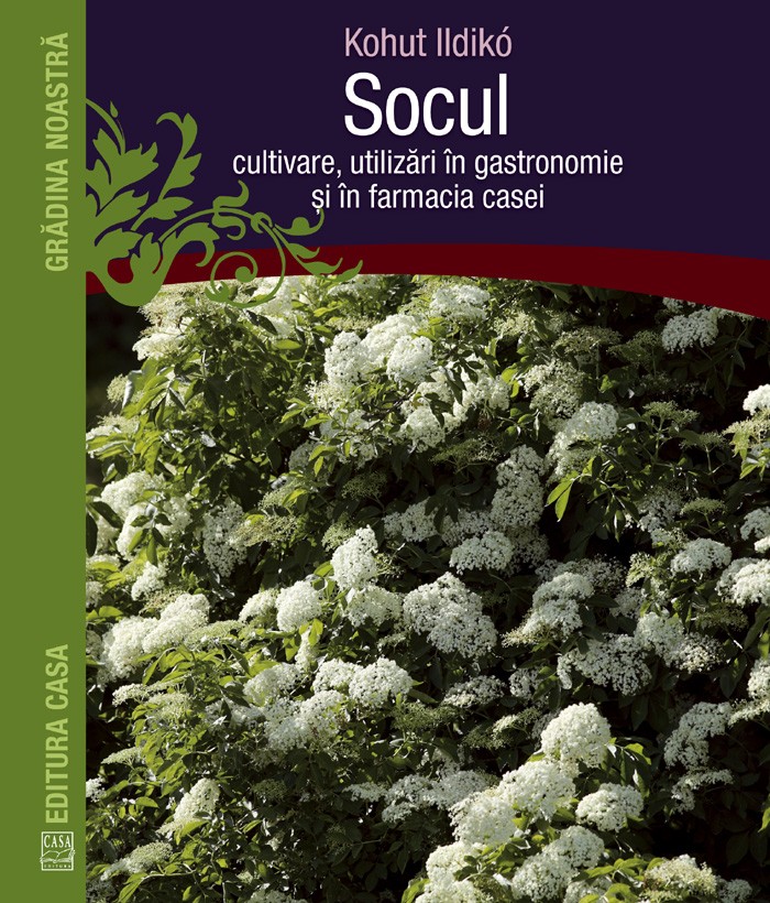 Socul: cultivare, utilizari in gastronomie si in farmacia casei