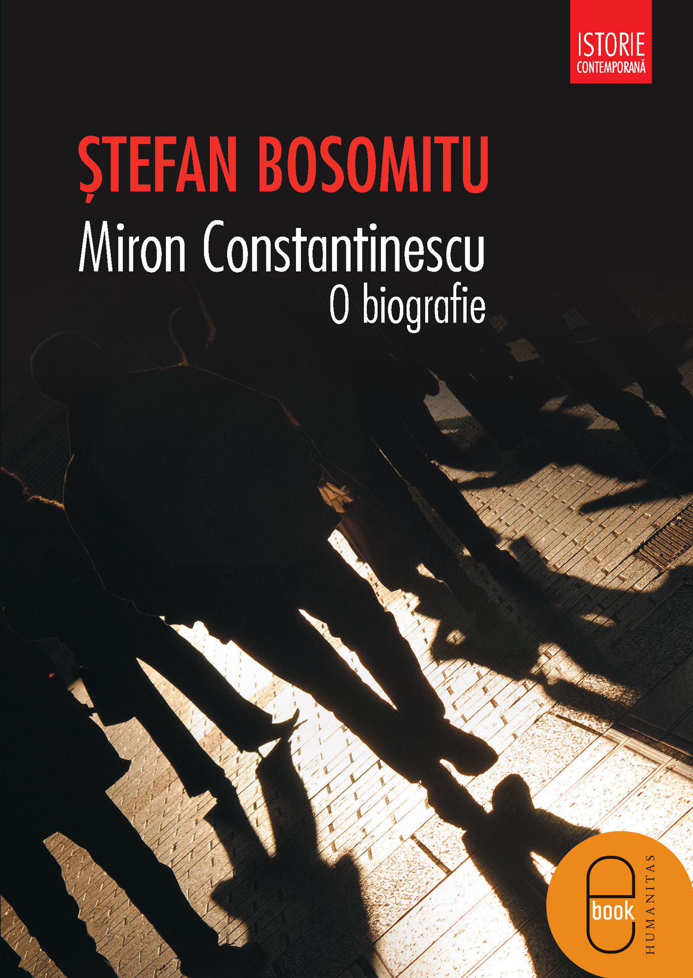 Miron Constantinescu. O biografie (pdf)