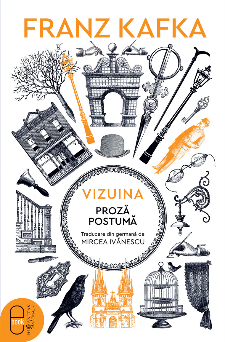 Vizuina (epub)