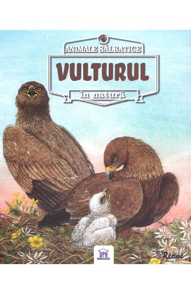 Animale salbatice in natura: Vulturul